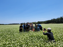메밀꽃을 배경으로
